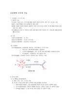 신경계의 구조와 기능