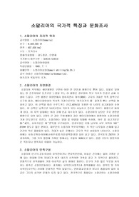 소말리아의 국가적 특징과 문화조사