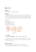 미각 수용기의 분포와 감각 강도 측정 레포트