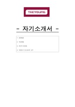 태영건설 서류합격 자기소개서