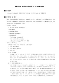 [생화학실험]Protein Purification &amp; SDS-PAGE