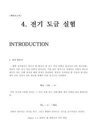 [화학공학과 화학공학 실험] 전기 도금 실험