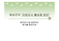 음성군 지방도시 활성화 방안