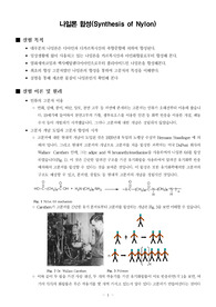 [일반화학실험]Synthesis of Nylon