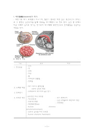 태반(Placenta)의 정의 및 기능 요약 정리