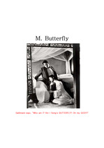 M. Butterfly 작품분석