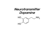 dopamine 도파민