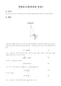 예비보고서-단진자운동