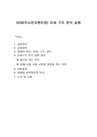 SEM(주사전자현미경)의 미세먼지 실험