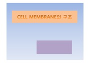 [화학]CELL MEMBRANE의 구조