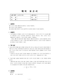 11_소리의속도_예비보고서