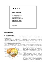 뇌해부학 brain anatomy