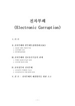 전자부패(Electronic Corruption)