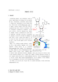 05. RNA 분리 원리 및 과정