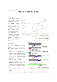 07.역전사 과정 및 원핵&amp;진핵생물의 중합 효소