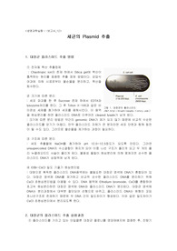 09.대장균의 플라스미드 추출 원리 및 실험과정