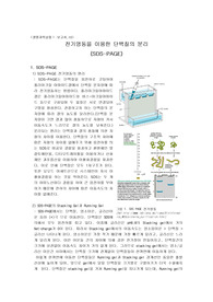 10. SDS Page gel 전기영동의 원리 및 실험과정