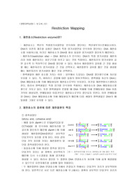   11. 제한효소의 원리 및 제한효소 지도 작성법