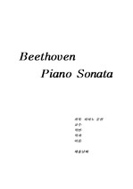 베토벤 피아노 소나타