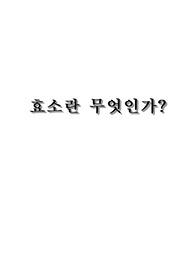 효소란