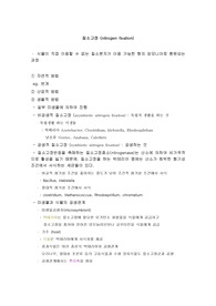 질소고정