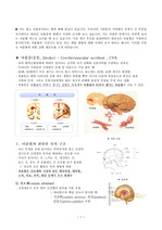 병리학 뇌출혈