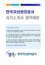 <한국자산관리공사 자소서 합격서류> KAMCO 한국자산관리공사 자기소개서 우수예문 [캠코 한국자산관리공사 자소서]