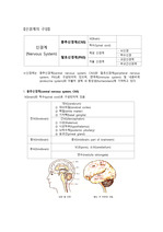 [약리학,성인간호학] 신경계 구성과 신경전달물질