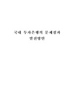 국내투자은행의 문제점과 발전 방안