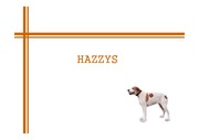 헤지스 HAZZYS 제일모직 - 기업분석 / 성공요인 / 국제 마케팅 / 해외 진출 성공 사례 분석