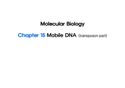 분자생물학 momile DNA