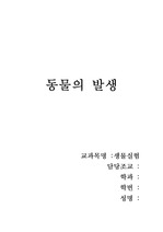 동물의 발생 - 닭