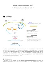 siRNA (A Powerful Reverse Genetic Tool)