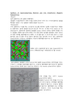 Synthesis of Superconductiong Material and Iron Oxide(Fe3O4) Magnetic Nanoparticles