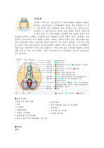 간호학과 실습 신경과 셀프 스터디, 데일리