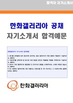 (한화갤러리아 자소서 + 면접족보) 한화갤러리아백화점 영업관리직/MD 자기소개서 합격예문