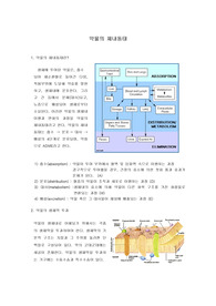 약물의 체내동태