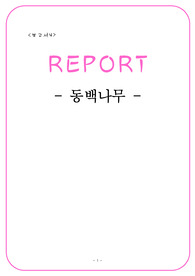 동백나무