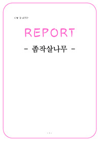 좀작살나무