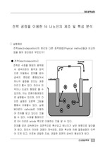 전착 공정을 이용한 Ni 나노선의 제조 및 특성 분석