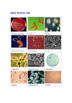 세균의 현미경사진 모음