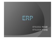 전사적 자원관리 (ERP implementation procedures)
