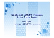 storage and executive processes in the frontal lobes
