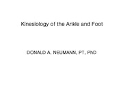 Kinesiology of the Ankle and Foot