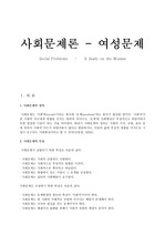 사회문제론-여성문제