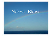 nerveblock(신경블록요법) 파워포인트