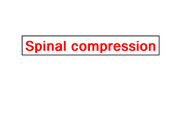 Spinal compression(척수압박) 파워포인트