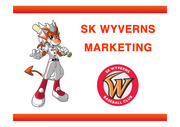 [마케팅]SK와이번스의 마케팅 전략
