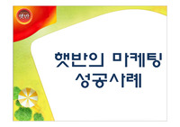 햇반의 마케팅 성공전략 분석