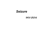 seizure의 원인,진단,치료